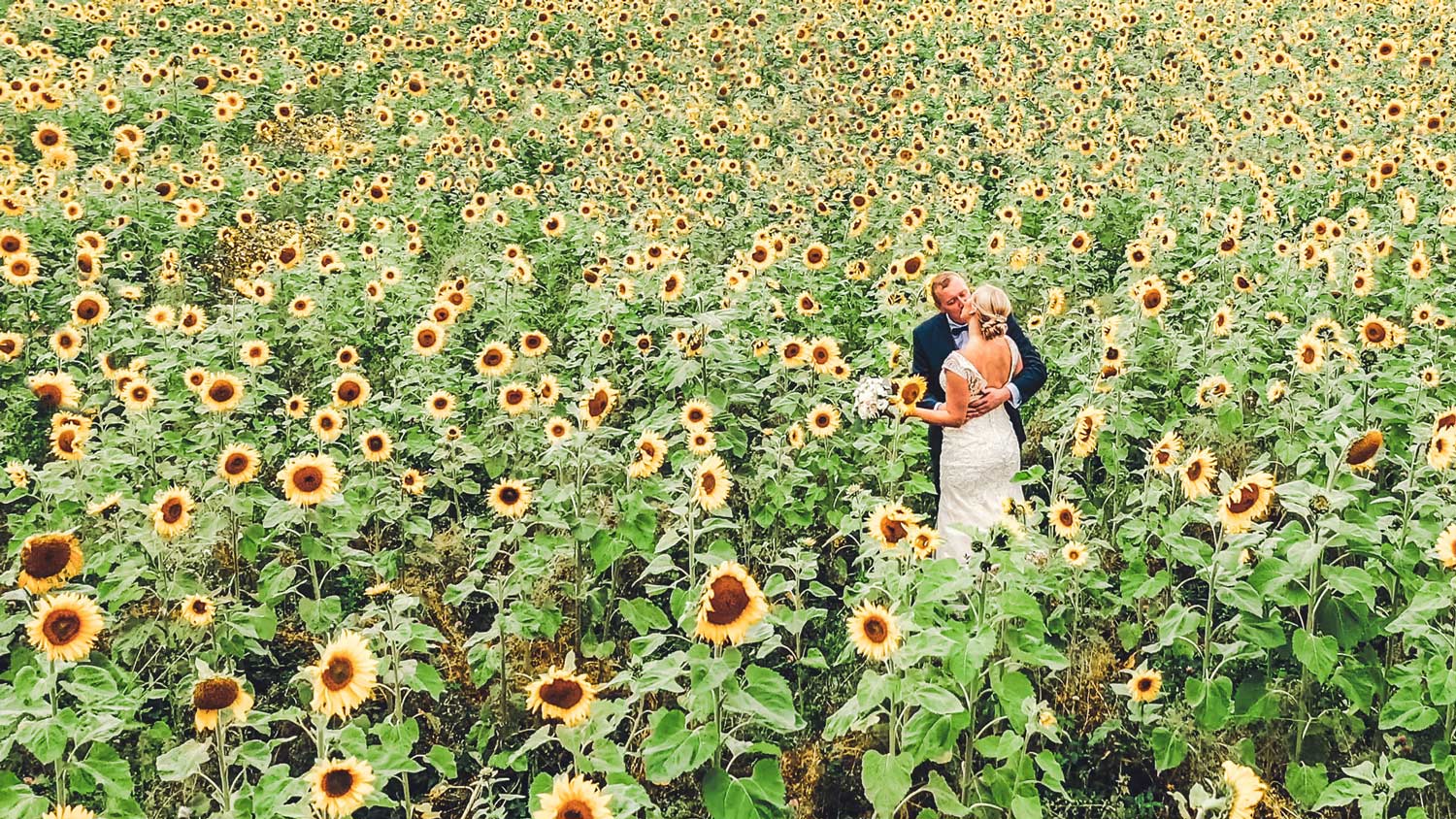Pruutpaar päevalillepõllul pulma fotograaf ja videograaf oulma